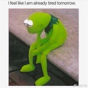 Meet your Posher, Jin